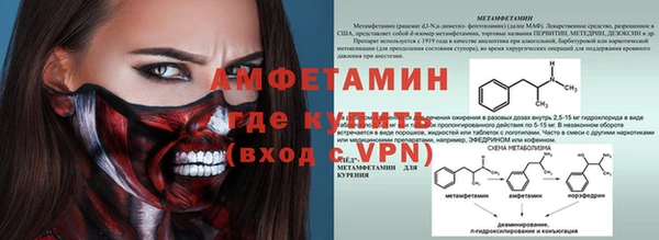 трава Осинники