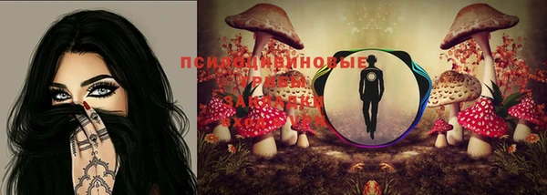 трава Осинники