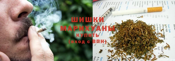трава Осинники