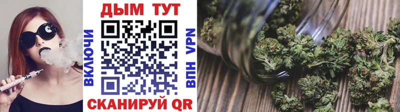 Купить  Шелехов  Каннабис индика 